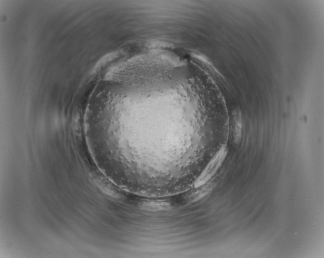 X0000084580619200702231257