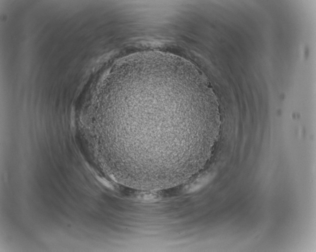 X0000084580624200702231257