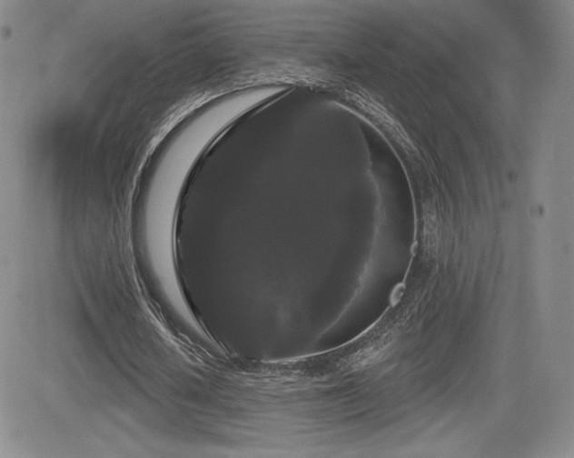 X0000084580626200702231256