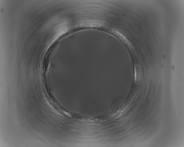 X0000084580627200702231256