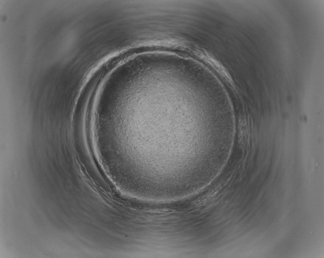 X0000084580628200702231256