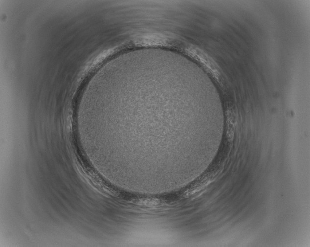 X0000084580631200702231256