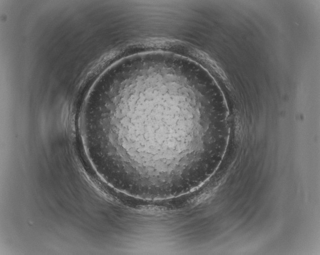X0000084580633200702231256