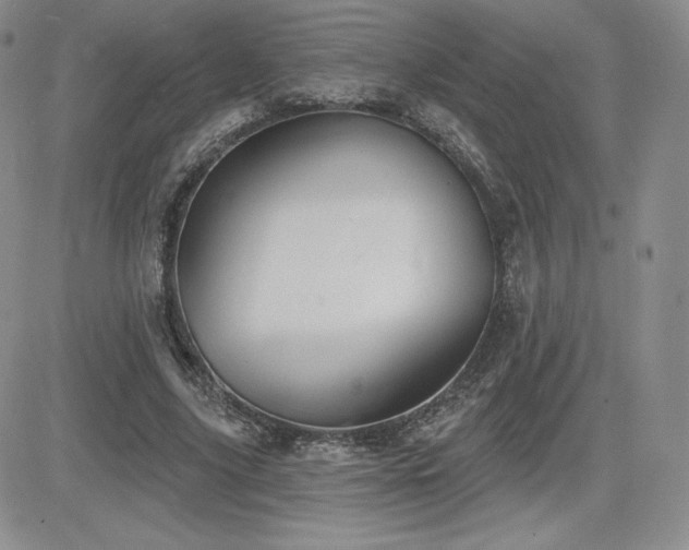 X0000084580635200702231256