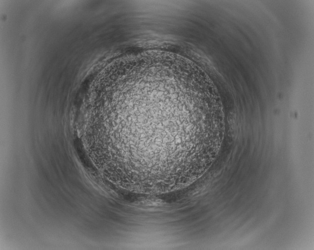 X0000084580642200702231256