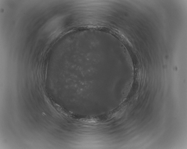 X0000084580643200702231256
