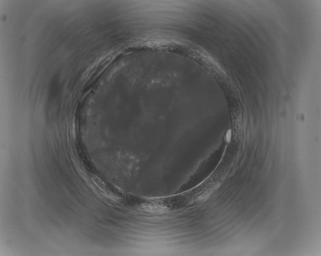 X0000084580644200702231256