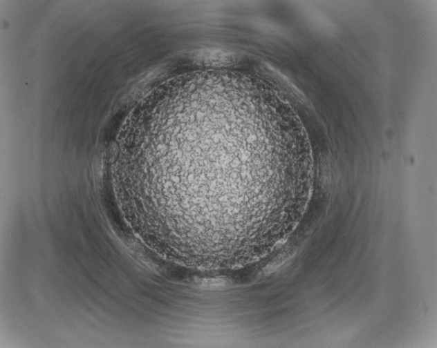 X0000084580645200702231256