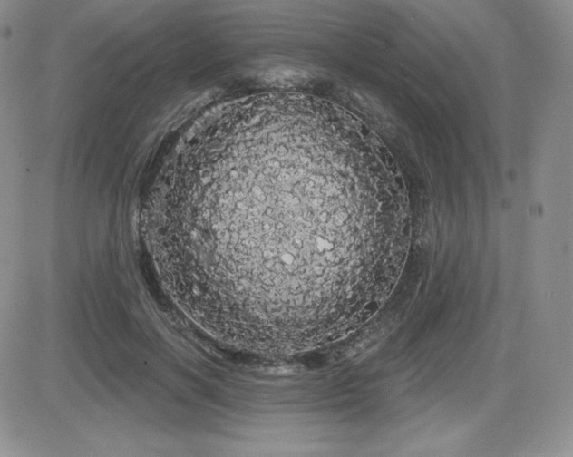 X0000084580646200702231256