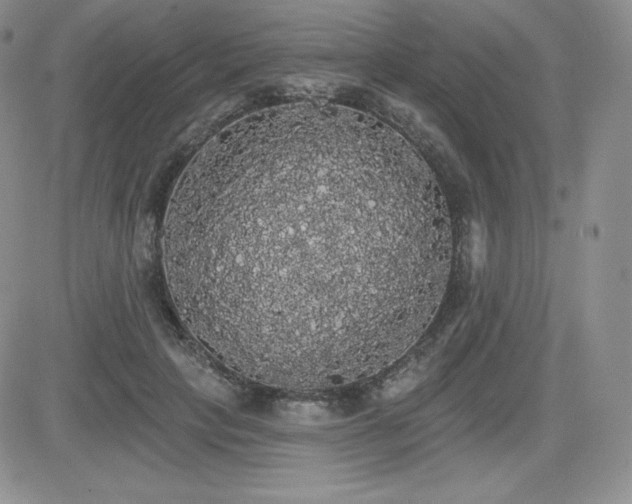 X0000084580649200702231256