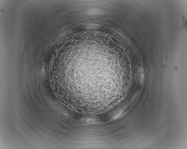 X0000084580655200702231256