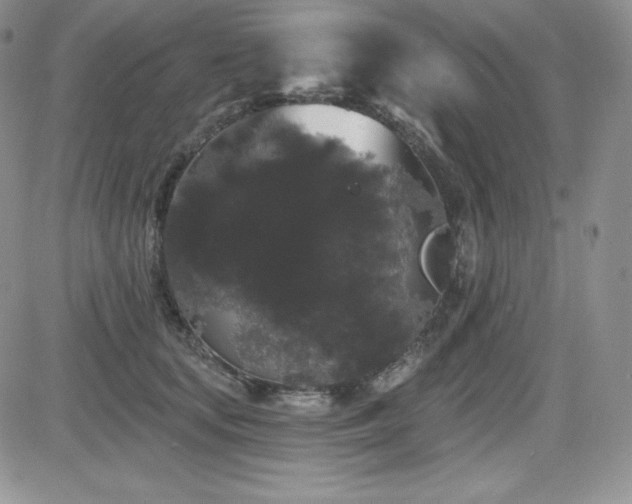 X0000084580659200702231257