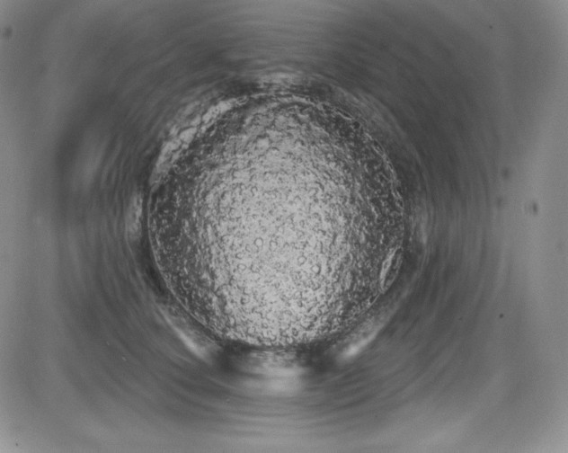 X0000084580660200702231257