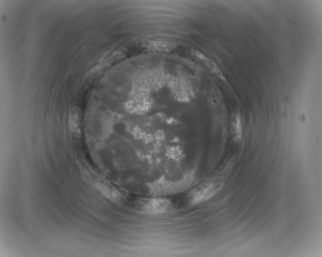 X0000084580663200702231257