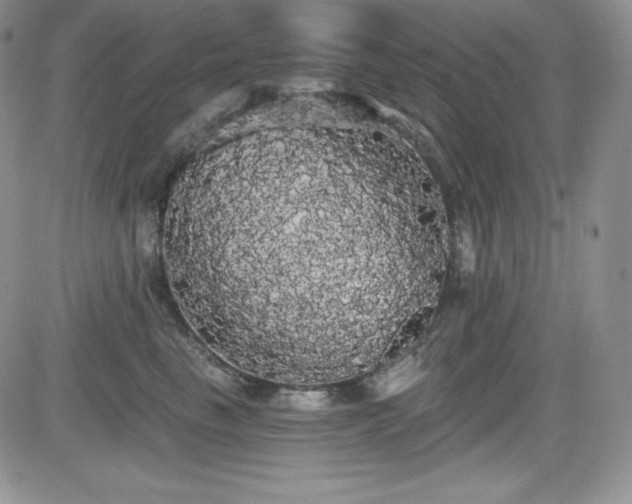 X0000084580665200702231257