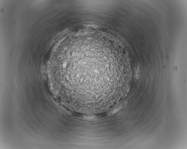 X0000084580666200702231257