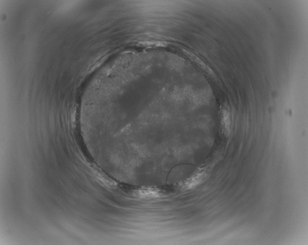 X0000084580668200702231257