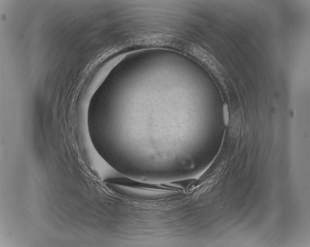 X0000084580673200702231256