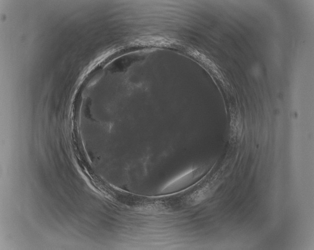 X0000084580674200702231256