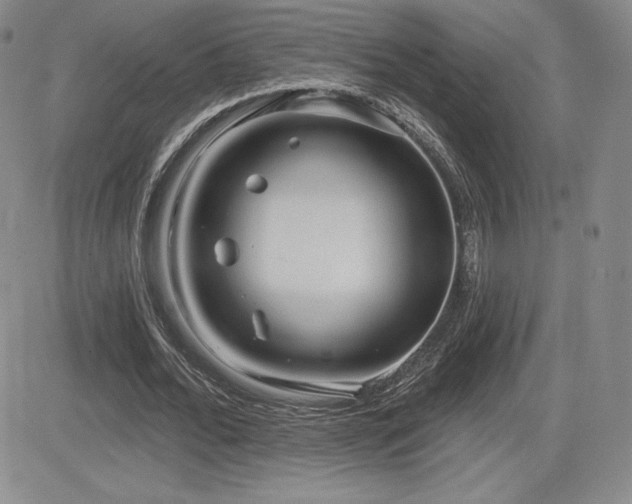 X0000084580676200702231256