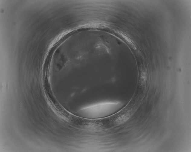X0000084580678200702231256
