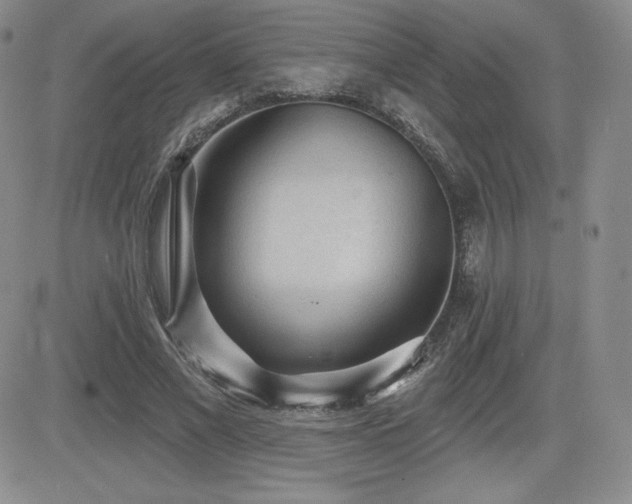 X0000084580685200702231256