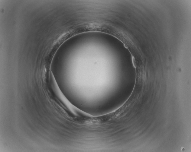X0000084580700200702231255