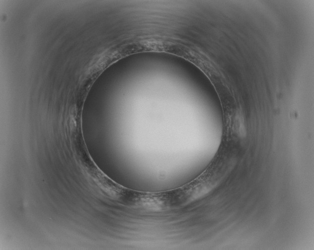 X0000084580702200702231255