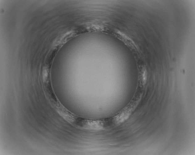 X0000084580709200702231255