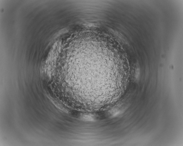 X0000084580710200702231255
