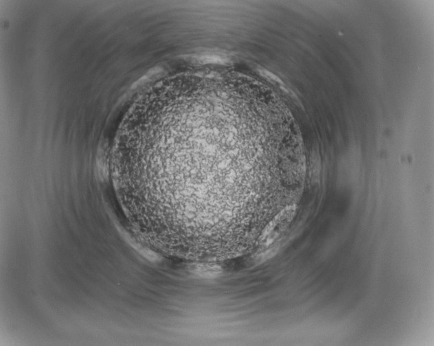X0000084580719200702231255