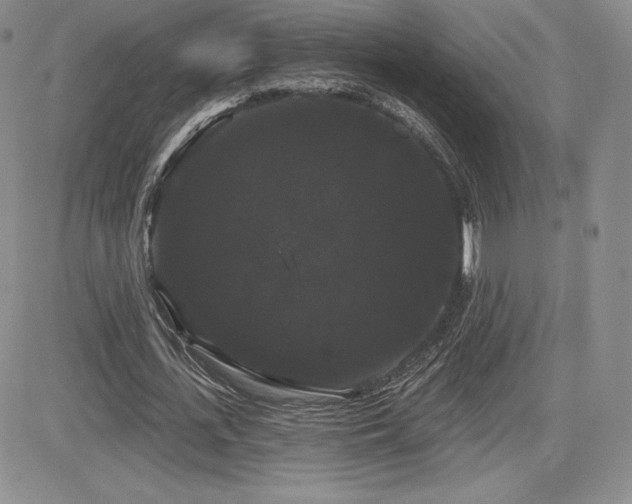 X0000084580723200702231254