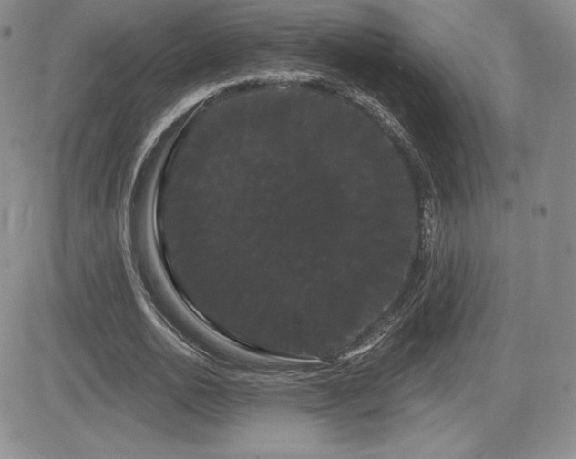 X0000084580726200702231254