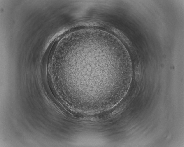 X0000084580727200702231254