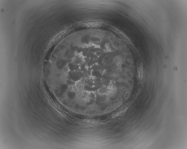X0000084580733200702231255