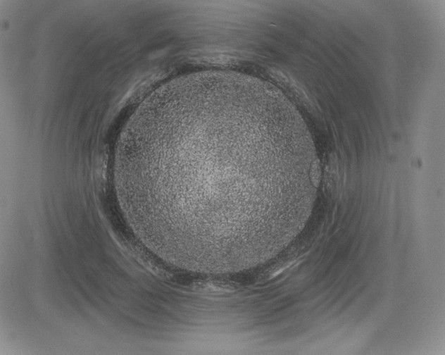 X0000084580739200702231255