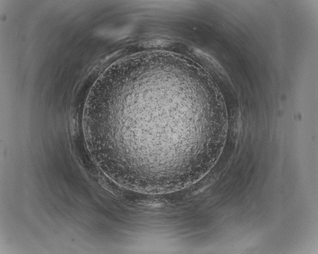 X0000084580743200702231255