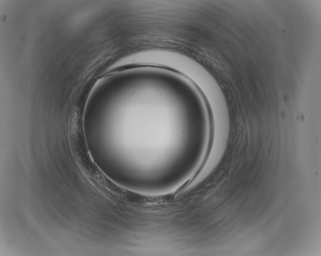X0000084580744200702231255