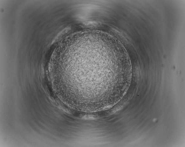 X0000084580751200702231255
