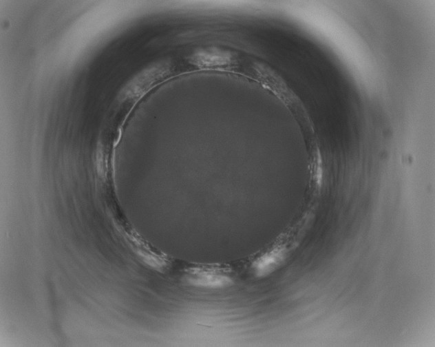X0000084580763200702231255