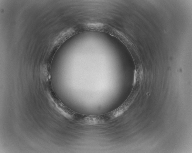 X0000084580764200702231255