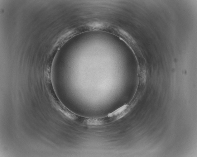 X0000084580766200702231255