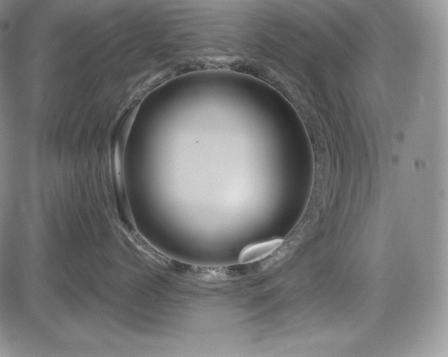 X0000084580768200702231255