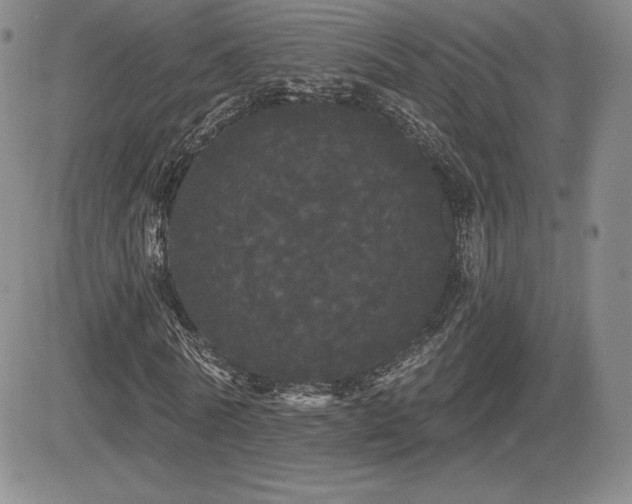 X0000084580770200702231254