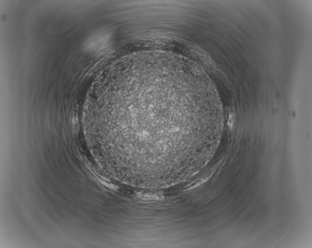 X0000084580771200702231254