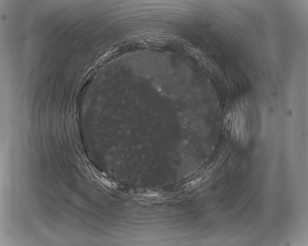X0000084580772200702231254