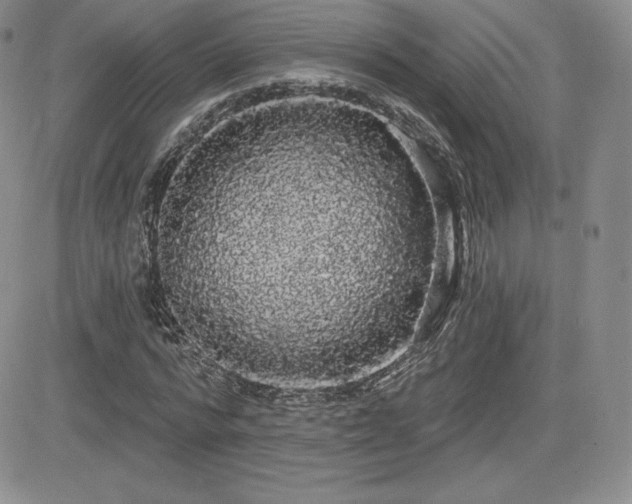 X0000084580776200702231254