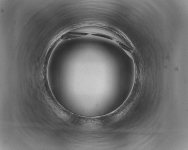 X0000084580786200702231254