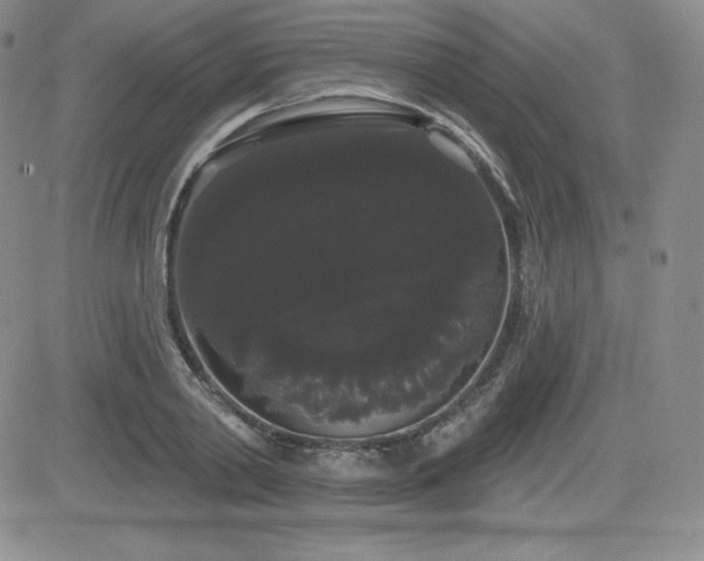 X0000084580790200702231254