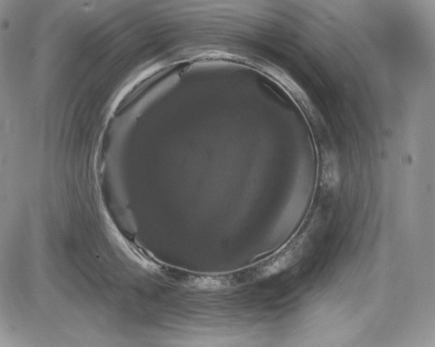 X0000084580806200702231254